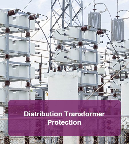 Transmission&Distribution(T&D)8